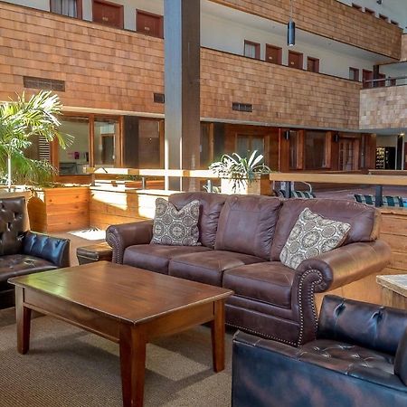 Mountain Delight Apartment Crested Butte Bagian luar foto