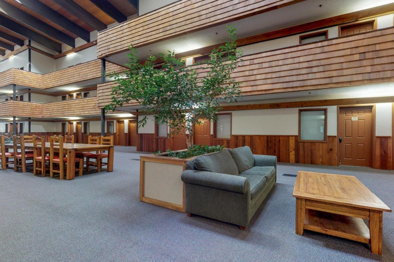 Mountain Delight Apartment Crested Butte Bagian luar foto